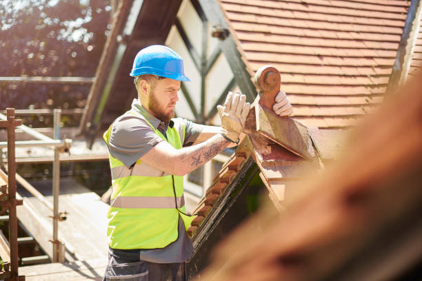 Best Roof Gutter Cleaning  in Summitville, IN